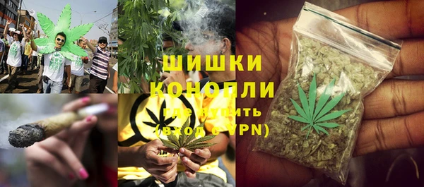 сатива Осташков