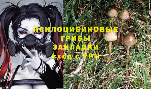 сатива Осташков