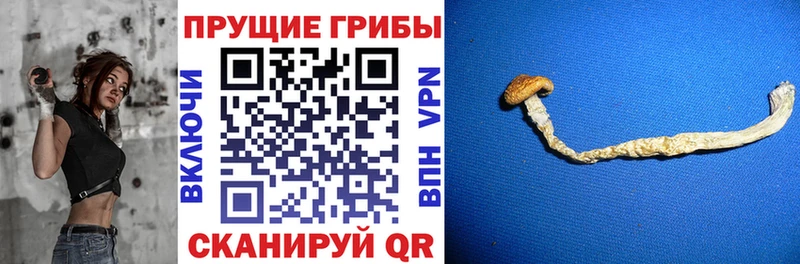 Галлюциногенные грибы прущие грибы Сортавала