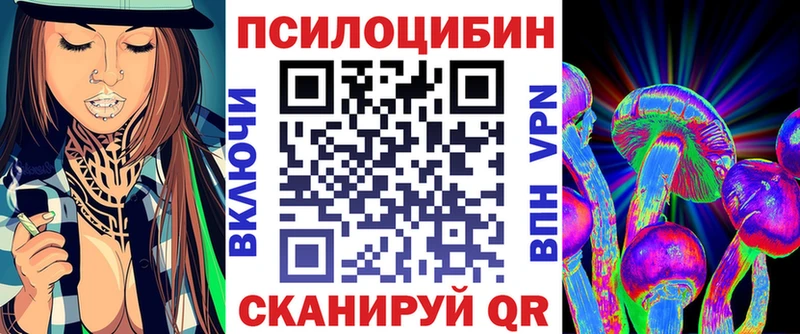 Галлюциногенные грибы Cubensis как найти закладки дарк нет какой сайт Сортавала